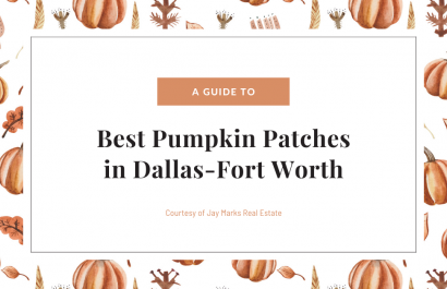2022 Guide to Pumpkin Patches in Dallas-Fort Worth